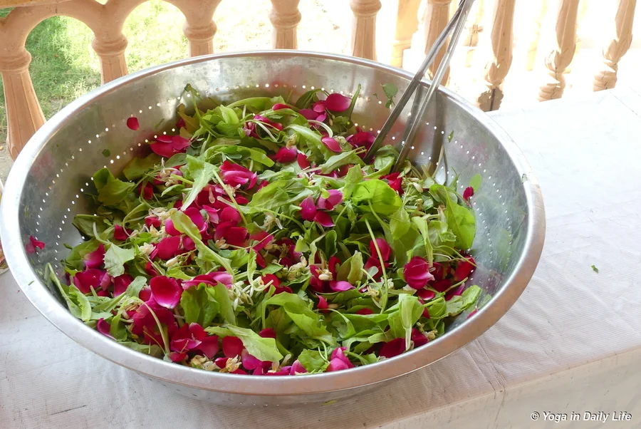 The first salad mix of the season
